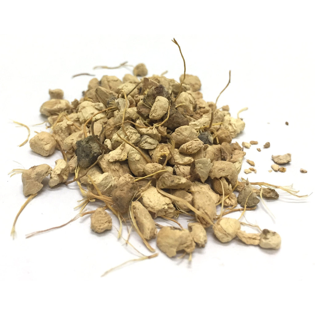 Wild Yam Root Cut