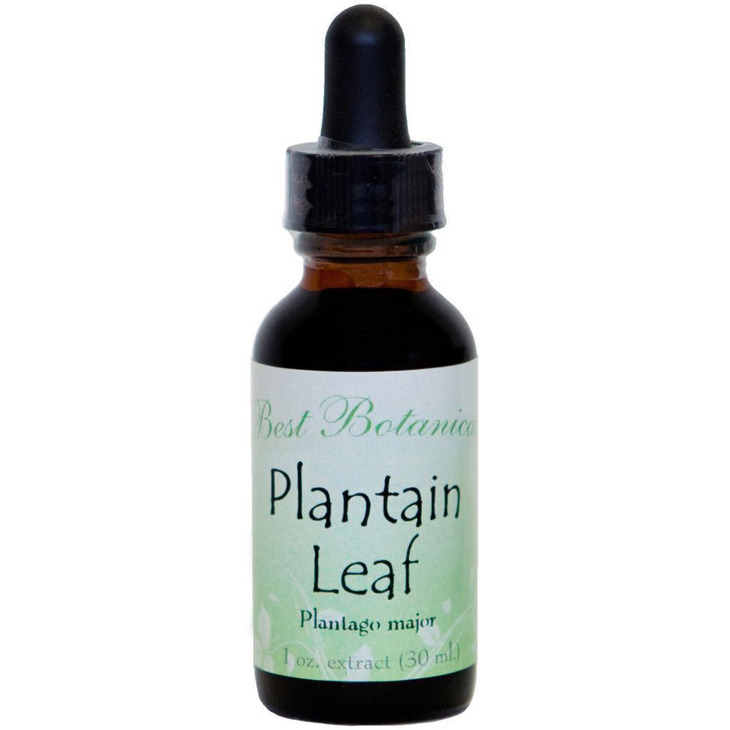 Plantain Leaf Extract